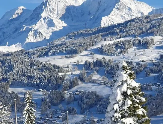 Le Sapin B19 - Demi Quartier *