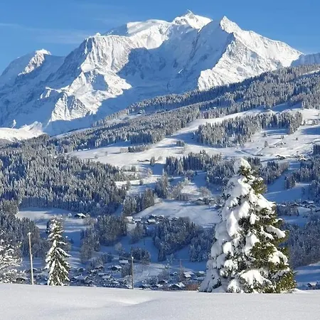 Le Sapin B19 - Demi Quartier *